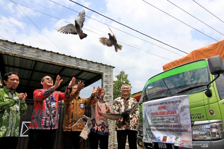 Hoofd van Bank Indonesia (BI) voor Oost-Java Dafi Ahmad Johansyah (rechts) samen met het hoofd van BI voor de regio Jember Hestu Wibowo (tweede van links) vergezeld door het hoofd van PT. Sirtanio Samanhudi (tweede rechts) laat duiven vrij als symbool van de eerste export van biologische rijst naar Italië in Singojuruh, Banyuwangi of Oost-Java op donderdag (21-3-2019). (ANTARA FOTO / BUDI CANDRA SETYA)